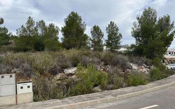 Parcela de  en Pedreguer- PVJ51479 - Foto - Small - 6