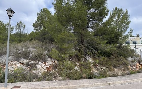 Parcela de  en Pedreguer- PVJ51479 - Foto - Small - 7