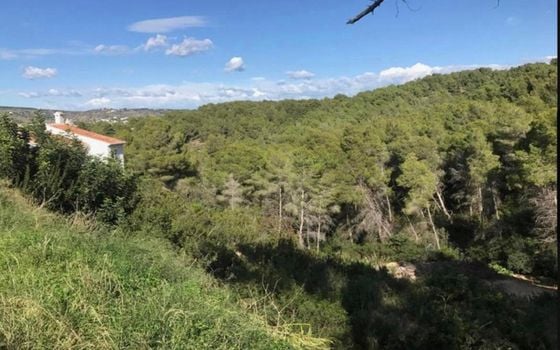  Grundstück in Xàbia- PVJ51508 - Foto - 1