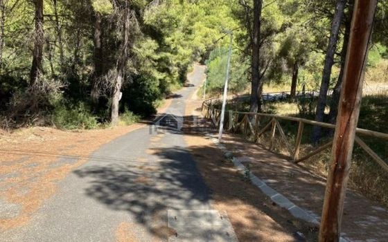  Grundstück in Xàbia- PVJ51512 - Foto - Small - 6