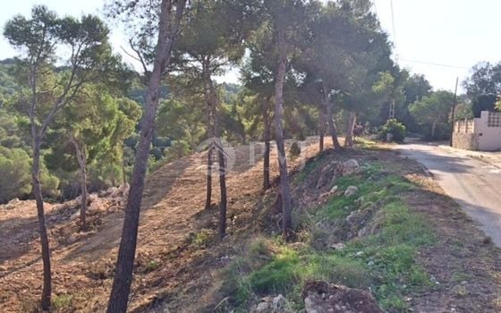  Grundstück in Xàbia- PVJ51523 - Foto - 1