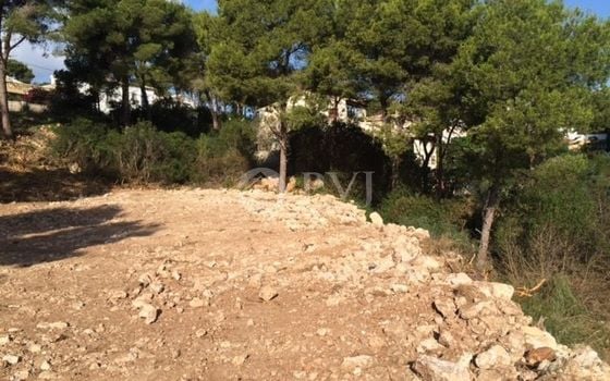  Grundstück in Xàbia- PVJ51523 - Foto - 2