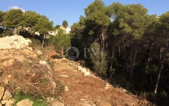  Grundstück in Xàbia- PVJ51523 - Foto - 3