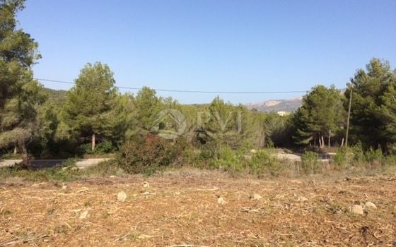  Grundstück in Xàbia- PVJ51528 - Foto - 1