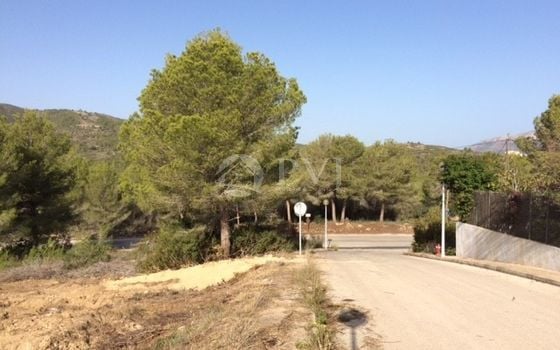  Grundstück in Xàbia- PVJ51528 - Foto - 4