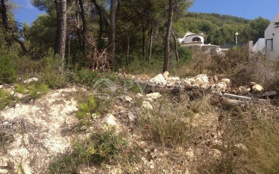 Grundstück in Xàbia- PVJ51532 - Foto - 1