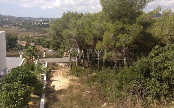  Grundstück in Xàbia- PVJ51532 - Foto - 4