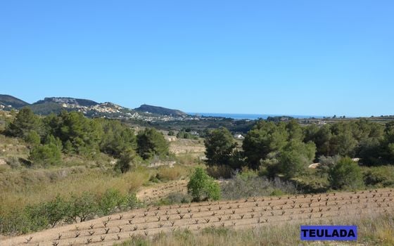 Parcela de  en Moraira- PVJ51570 - Foto - 1