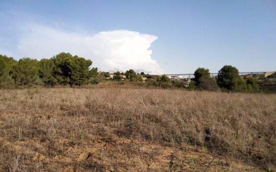 Parcela de  en Benissa- PVJ51608 - Foto - 3