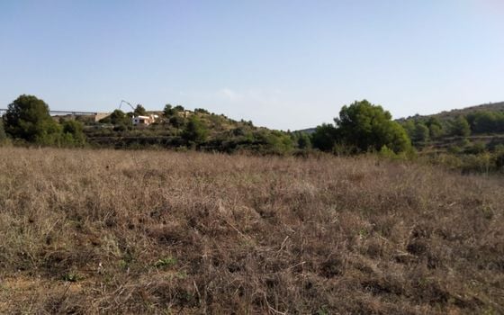 Parcela de  en Benissa- PVJ51608 - Foto - 4