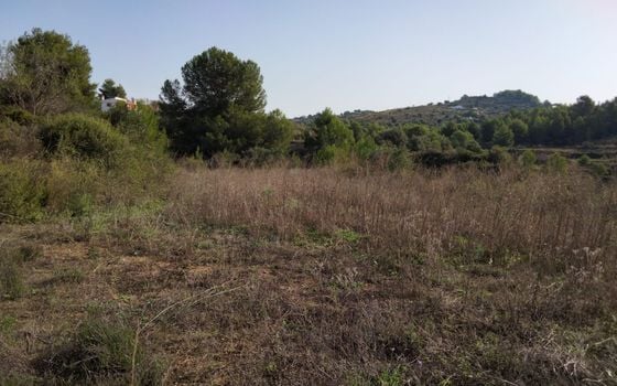  Pozemek v Benissa- PVJ51608 - Foto - Small - 7