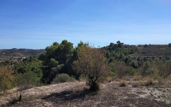 Parcela de  en Benissa- PVJ51610 - Foto - 1