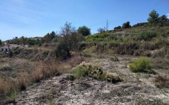 Parcela de  en Benissa- PVJ51610 - Foto - 5
