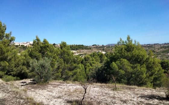 Parcela de  en Benissa- PVJ51610 - Foto - 2