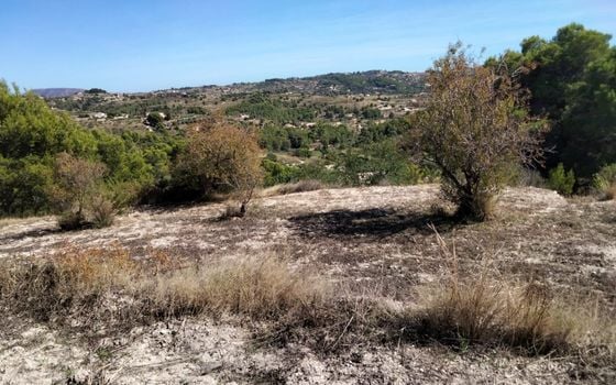 Parcela de  en Benissa- PVJ51610 - Foto - 3