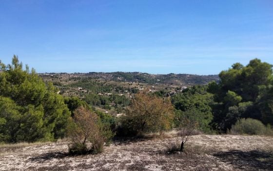 Parcela de  en Benissa- PVJ51610 - Foto - Small - 6