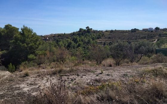 Parcela de  en Benissa- PVJ51610 - Foto - 4