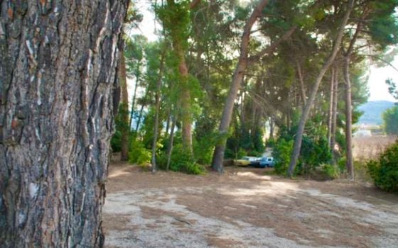 10 Schlafzimmer Villa in Ibi - TWTG84143 - Foto - Small - 18