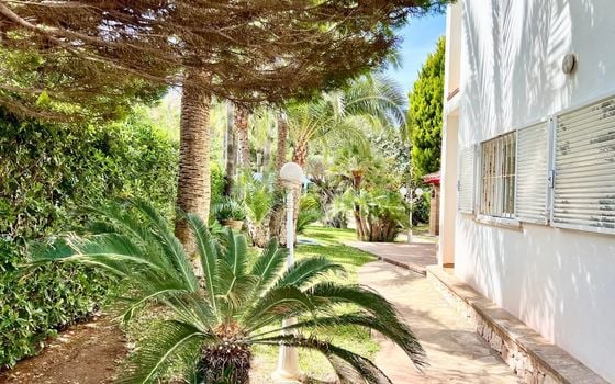 Vilă cu 6 dormitoare în Jávea - BES51704 - Imagini - Small - 30