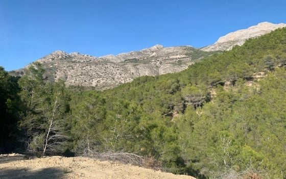 Parcela de  en Altea- SLE52015 - Foto - 3
