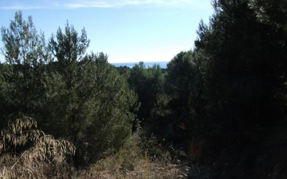 Parcela de  en Altea- SLE52028 - Foto - 4