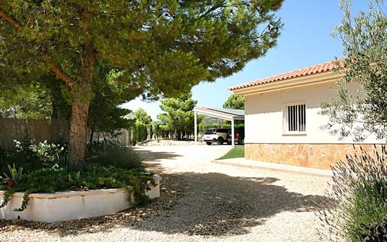 Villa de 4 habitaciones en Onil - SLE52118 - Foto - Small - 26