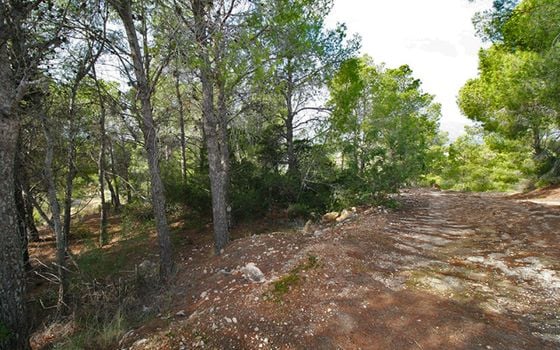 Parcela de  en Altea- SLE52119 - Foto - 5