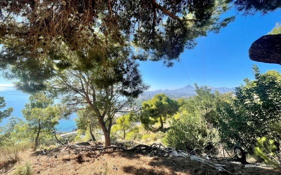 3 bedroom Villa in Altea - SLE73969 - Photo - Small - 31