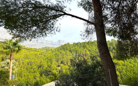 Villa de 4 chambres à Altea - SLE52351 - Photo - Small - 21