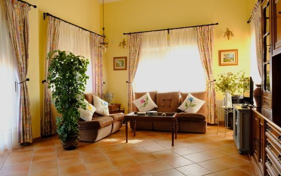 Villa de 5 chambres à Orihuela - DP68279 - Photo - Small - 6