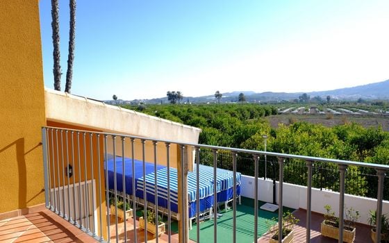 Villa de 5 chambres à Orihuela - DP68279 - Photo - Small - 17