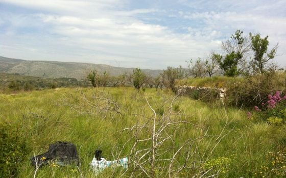 Parcela de  en Benissa- BVS53228 - Foto - 3