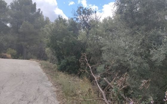  Pozemek v Orba- OH54970 - Foto - 5