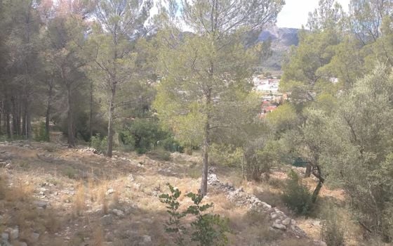 Parcelă cu  în Orba- OH54970 - Imagini - Small - 7