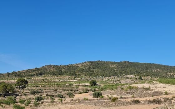  Pozemek v Murcia- SIP67523 - Foto - 2
