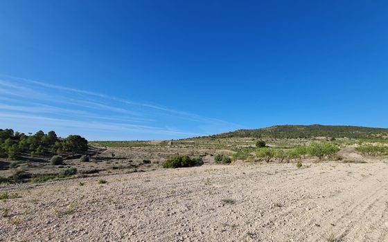  Pozemek v Jumilla- SIP67524 - Foto - 3