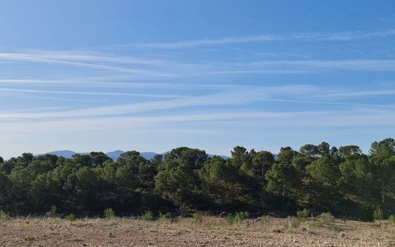  Pozemek v Jumilla- SIP67525 - Foto - 3