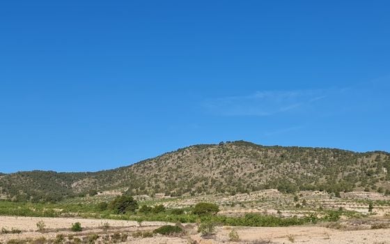  Pozemek v Jumilla- SIP67525 - Foto - 5