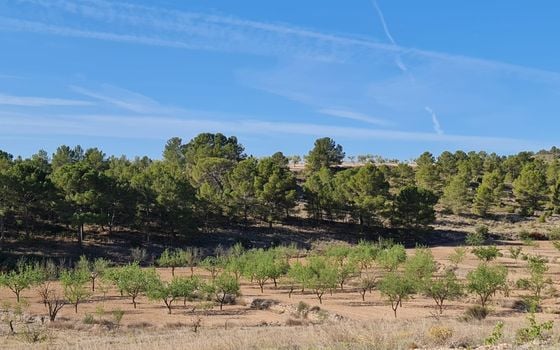  Pozemek v Jumilla- SIP67525 - Foto - 2