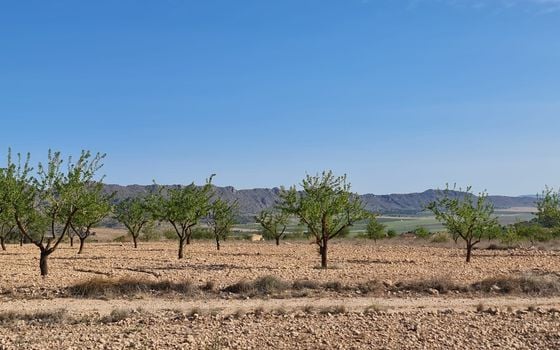  Pozemek v Murcia- SIP67523 - Foto - Small - 19
