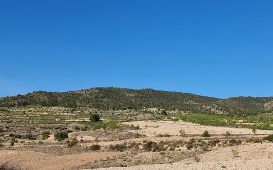  Pozemek v Jumilla- SIP67525 - Foto - 4