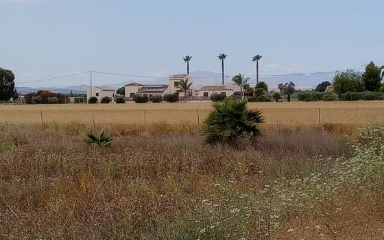  Plot in San Fulgencio- TT56661 - Photo - 1