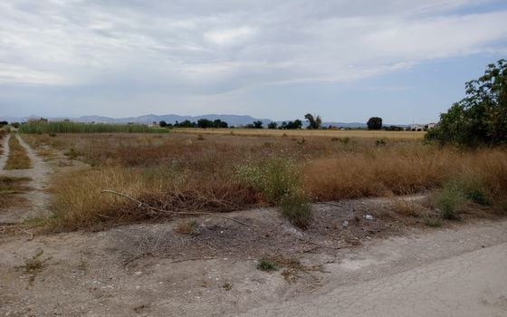  Plot in San Fulgencio- TT56661 - Photo - 2