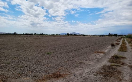  Plot in San Fulgencio- TT56661 - Photo - 4