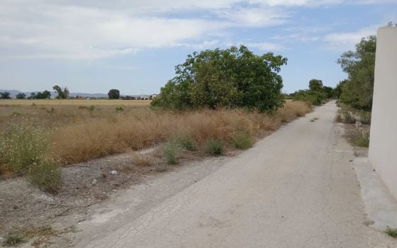  Plot in San Fulgencio- TT56661 - Photo - 3