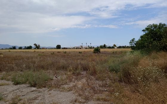  Plot in San Fulgencio- TT56661 - Photo - 5