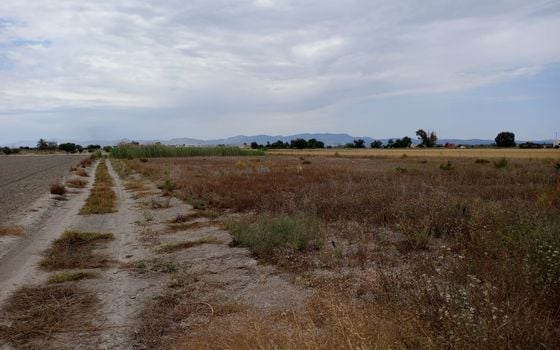  Grundstück in San Fulgencio- TT56661 - Foto - Small - 7