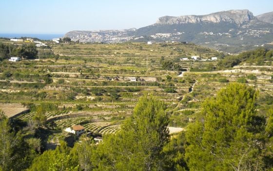 Parcela de  en Benissa- AVS57656 - Foto - 1