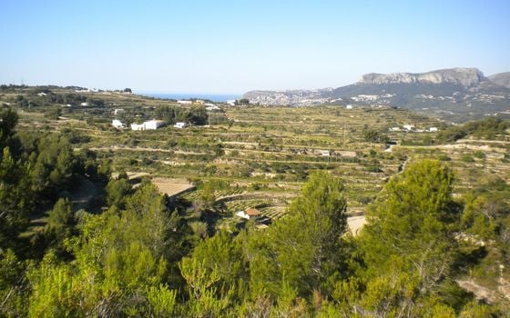 Parcela de  en Benissa- AVS57656 - Foto - 2
