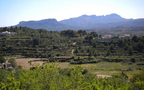 Parcela de  en Benissa- AVS57656 - Foto - 5